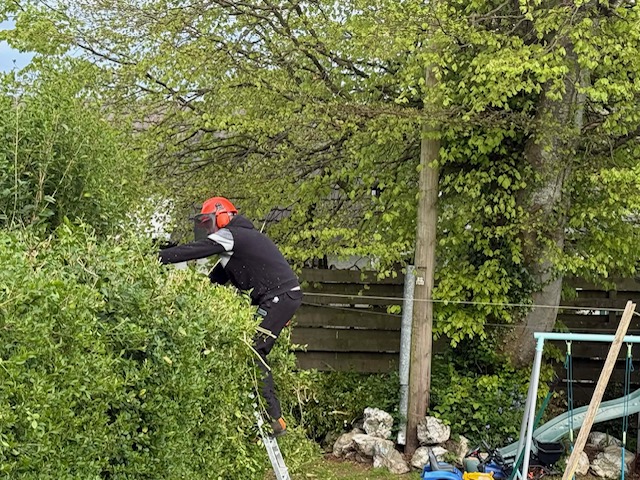 Grounds Maintenance